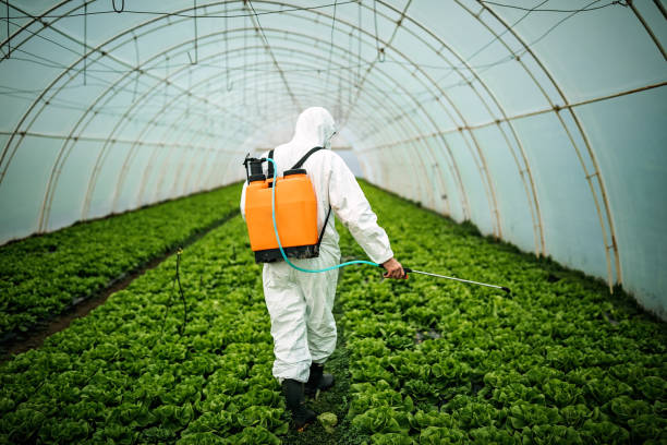 Best Commercial Pest Control Services  in Traer, IA