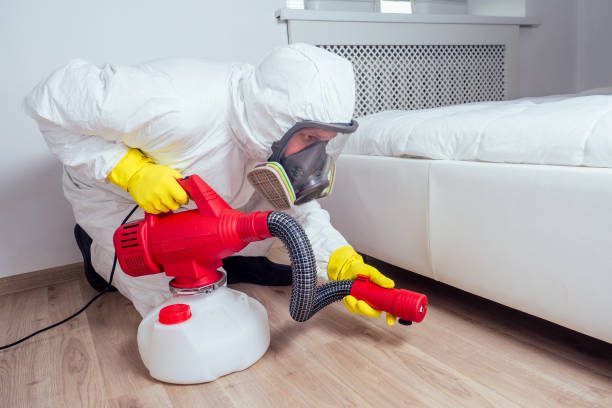 Best Affordable Pest Control Services  in Traer, IA