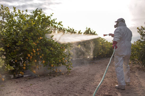 Best Commercial Pest Control Services  in Traer, IA