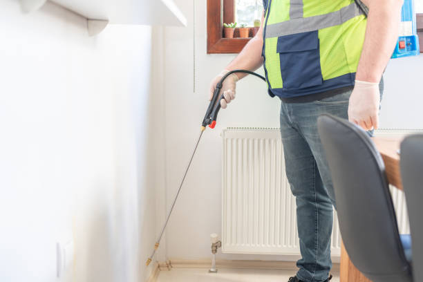 Best Local Pest Control Services  in Traer, IA