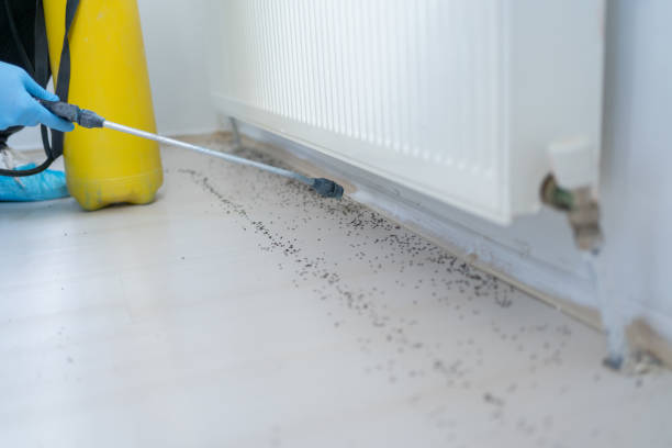 Best Residential Pest Control  in Traer, IA
