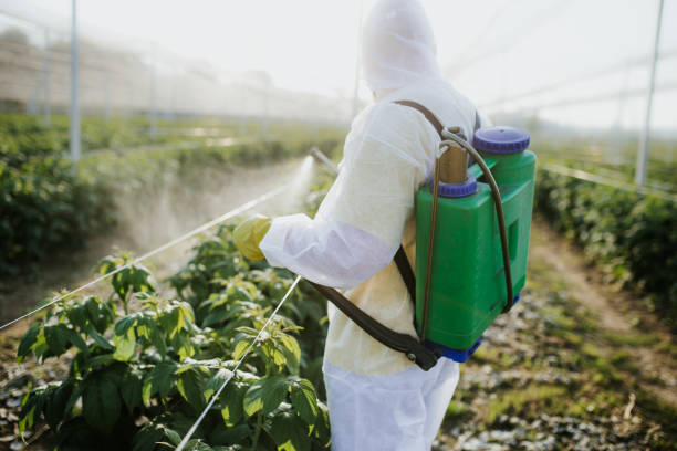Trusted Traer, IA Pest Control Experts
